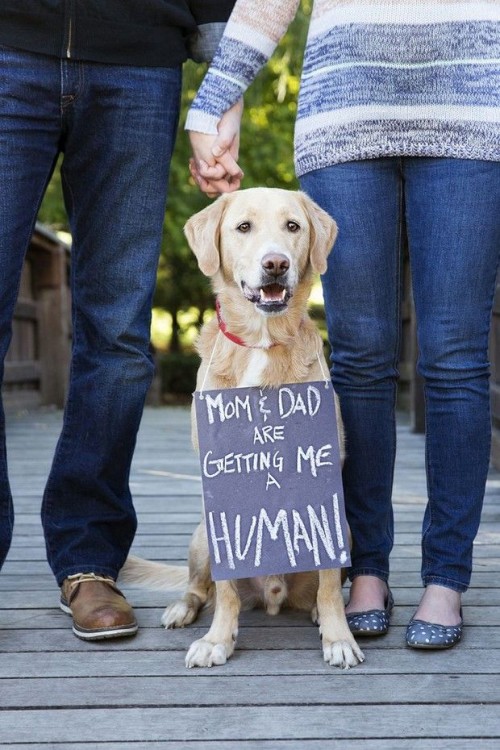 Baby aankondiging voor de dierenliefhebber