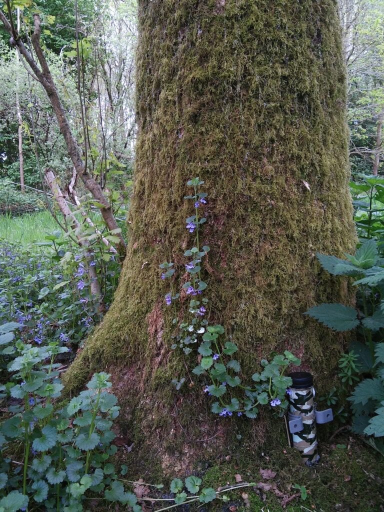 Geocaching met kinderen