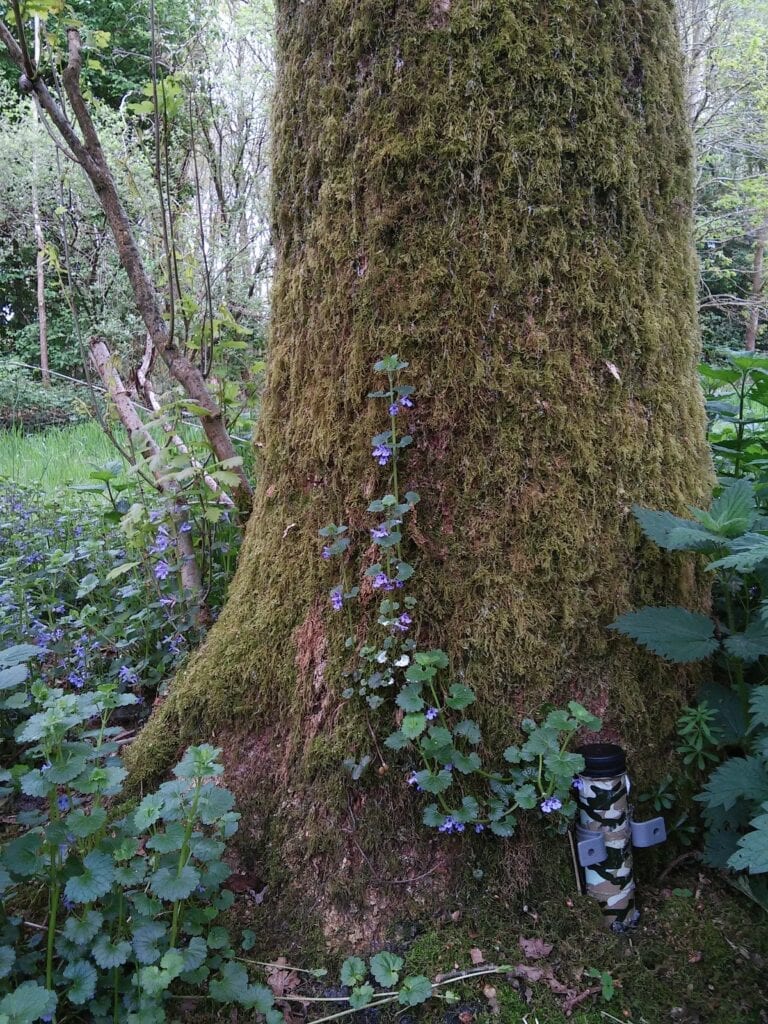 Geocaching met kinderen