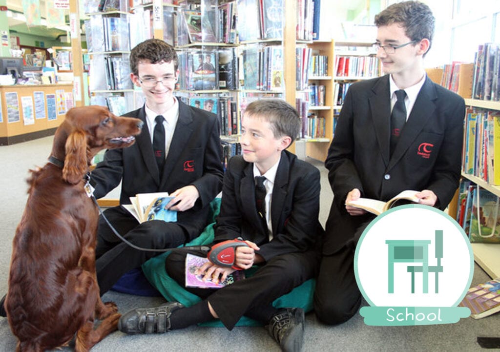 Britse school zet puppy in tegen examenstress