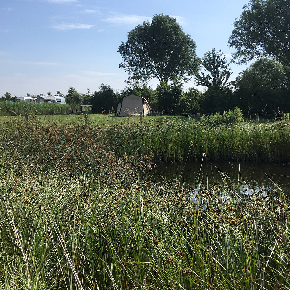 Camping aan zee: De Wachtsluis
