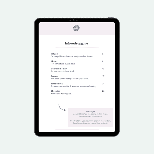 Money Journal Brugklassers