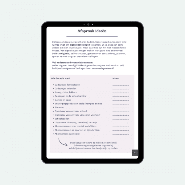 Money Journal Brugklassers