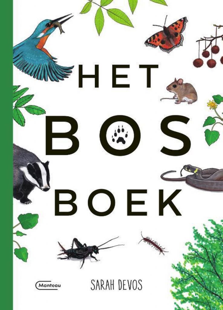 Herfstactiviteiten: het bosboek