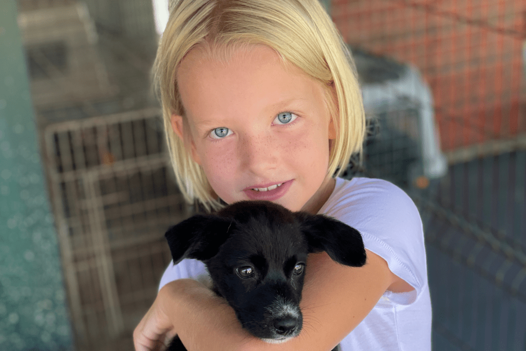 Rescue Paws Curacao: kom hondjes knuffelen (en adopteer!)