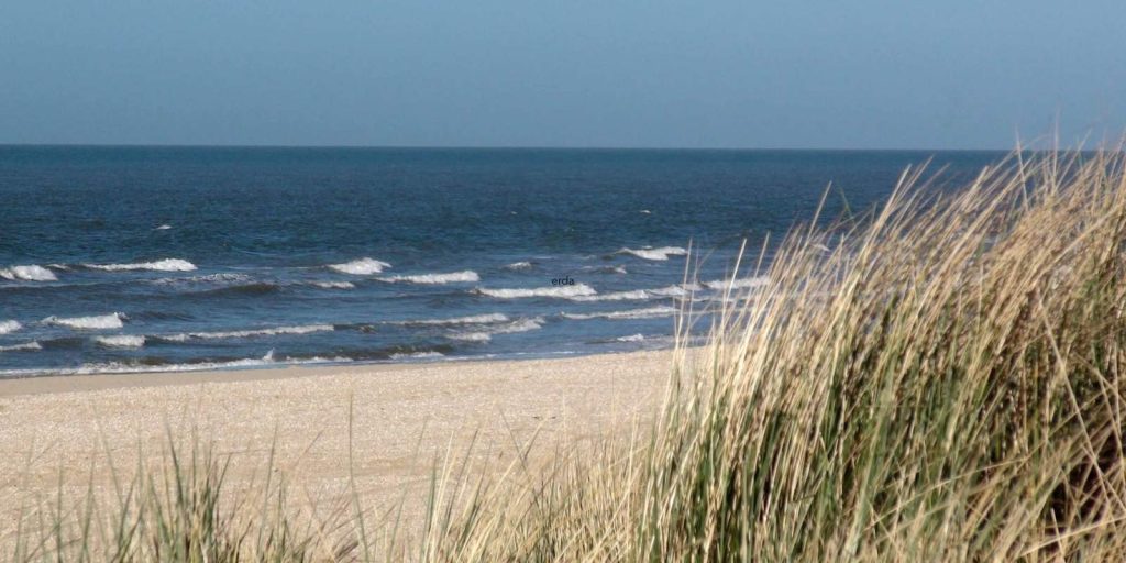 Gratis uitjes meivakantie 2024 strandwandelingen
